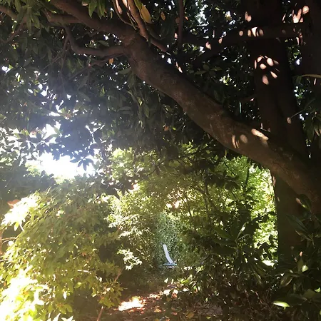 Cardano Close To Every Destination Apartmán