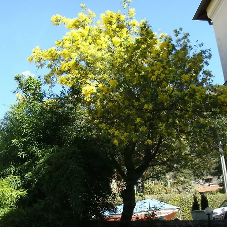 Apartment Cardano Close To Every Destination Maccagno