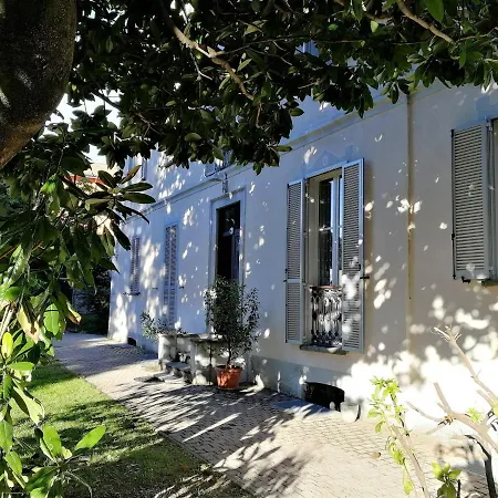 Cardano Close To Every Destination Maccagno